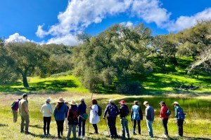 Public Hikes at Sedgwick Reserve