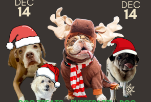 2nd Annual Santa Paws Holiday Party