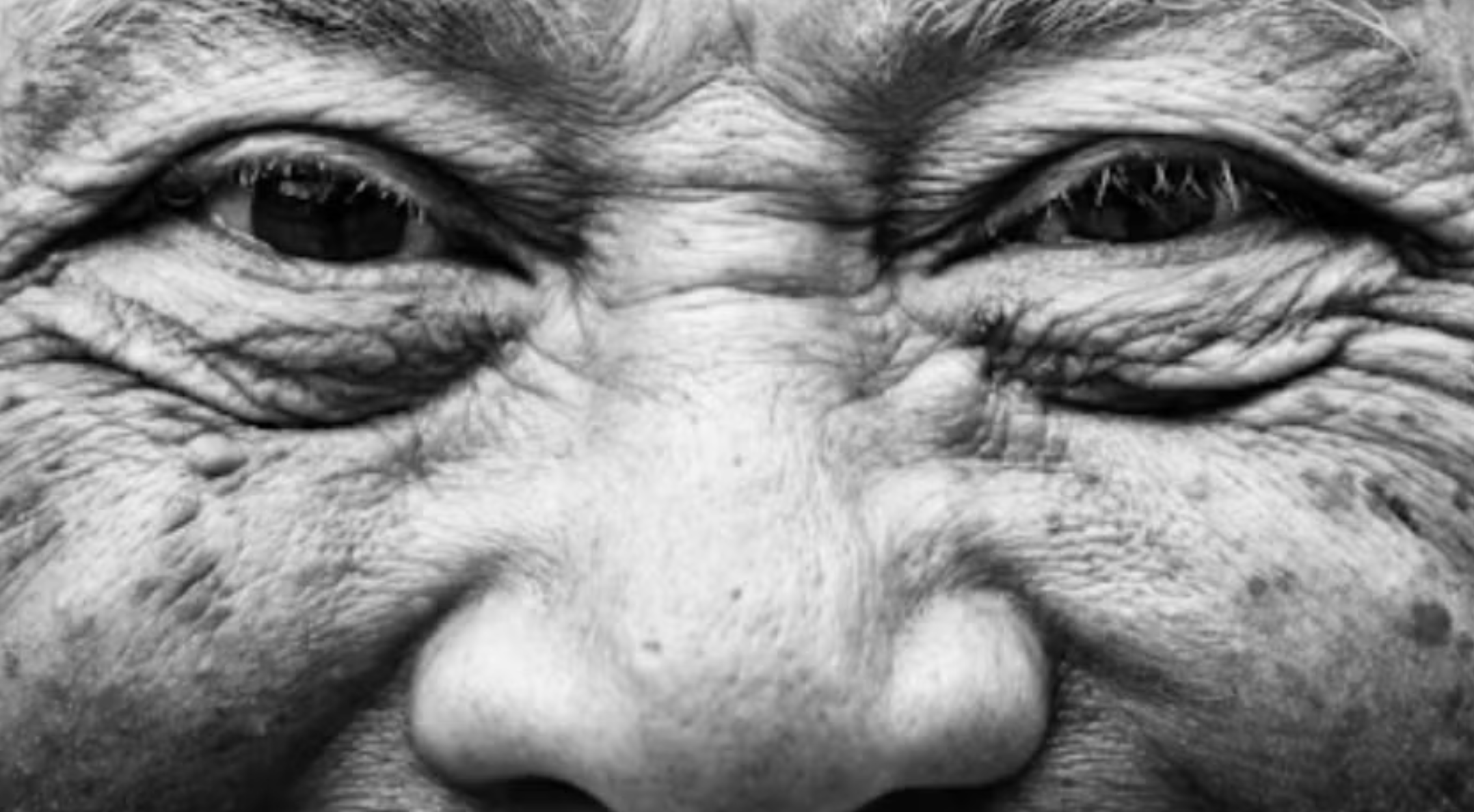 New Book By UCSB Professor Reframes Aging as Evolutionary Success