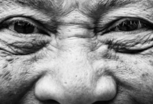 New Book By UCSB Professor Reframes Aging as Evolutionary Success