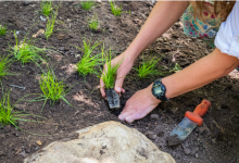 13th Annual Santa Barbara Botanic Garden Conservation Synposium