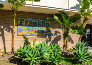 Reading to Learn, Not Just Learning to Read