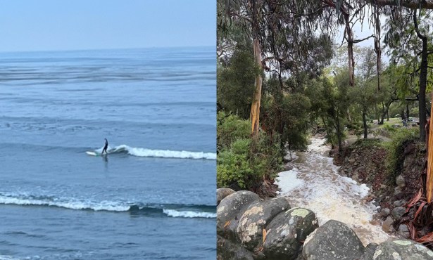 Surf’s Up, Bacteria’s Out: Storm Runoff Sparks Ocean Health Warning