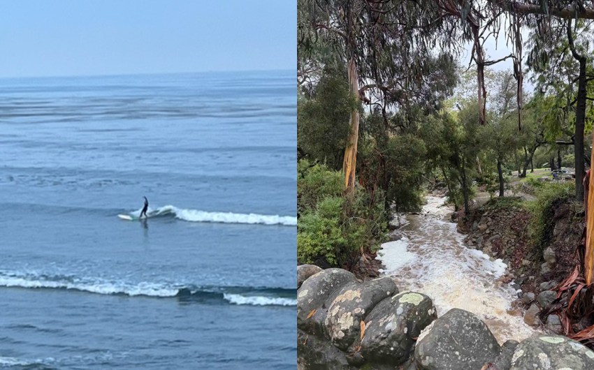 Surf’s Up, Bacteria’s Out: Storm Runoff Sparks Ocean Health Warning