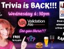 Pub Quiz with Maddy at Validation Ale!!!