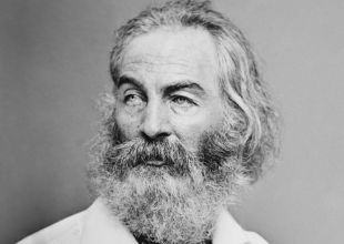 Election Joy Hits Reality Check