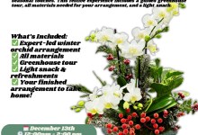 Winter Orchid Workshop & Greenhouse Tour