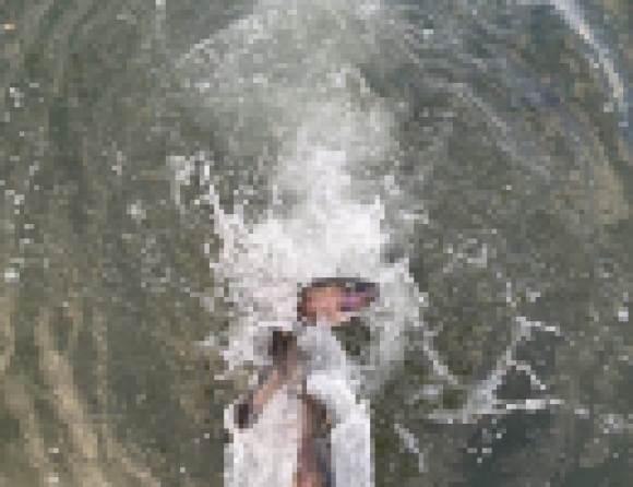 3.000 libras de trucha liberadas en Cachuma Lake