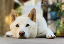 The Home Page | Fall Back and Welcome November