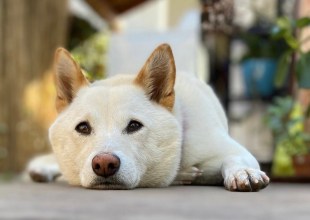 The Home Page | Fall Back and Welcome November