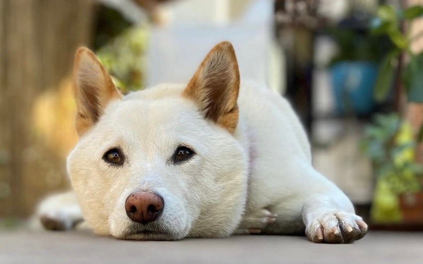 The Home Page | Fall Back and Welcome November