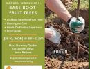 Garden Workshop: Bare-Root Fruit Trees