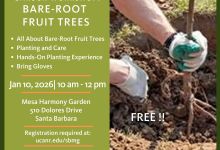 Garden Workshop: Bare-Root Fruit Trees