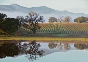 Drink Wine, Support the Wilderness