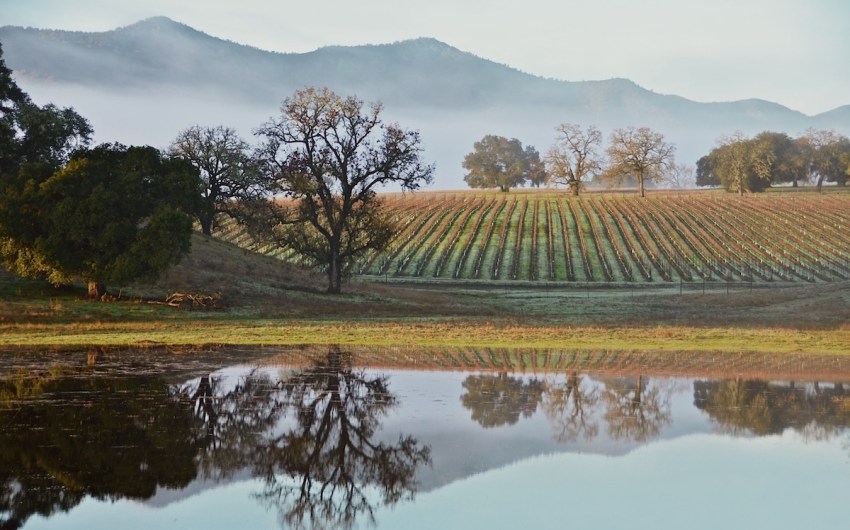 Drink Wine, Support the Wilderness