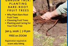 Online Garden Workshop: Bare-root Fruit Trees