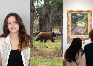  Callie Fausey’s 2025 Year in Review