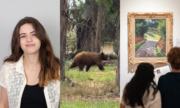  Callie Fausey’s 2025 Year in Review