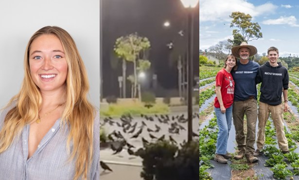 Ella Heydenfeldt’s 2025 in Review