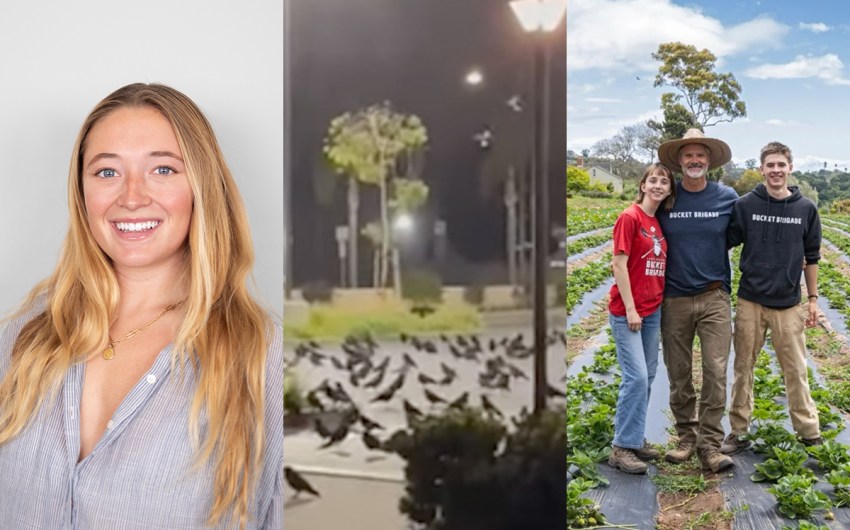 Ella Heydenfeldt’s 2025 in Review