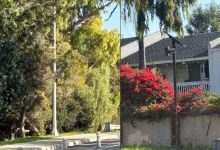 Who Has Access to Santa Barbara’s Automated Traffic Cameras?
