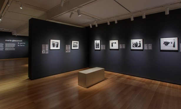 Photographic Memory and Mystery