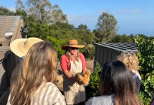 Come to Wanderment Farms This Weekend