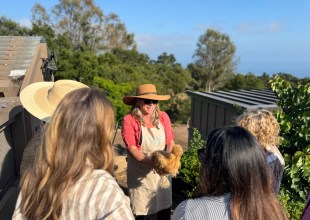 Come to Wanderment Farms This Weekend