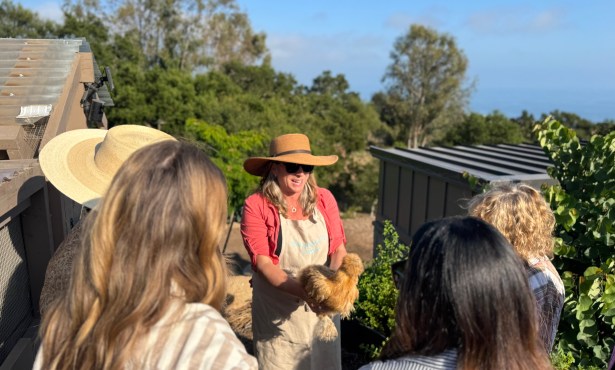 Come to Wanderment Farms This Weekend