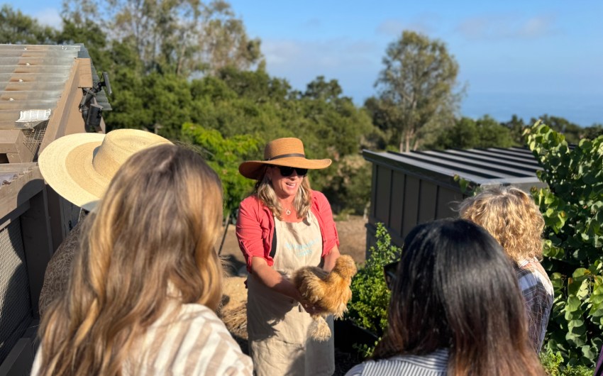 Come to Wanderment Farms This Weekend