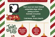 Wilder Animal Hospital Jingle & Mingle