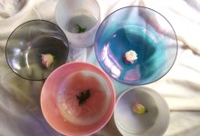 Toning and Vocal Expression with Singing Bowls