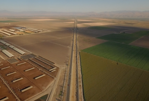 CWC Docs: Pistachio Wars