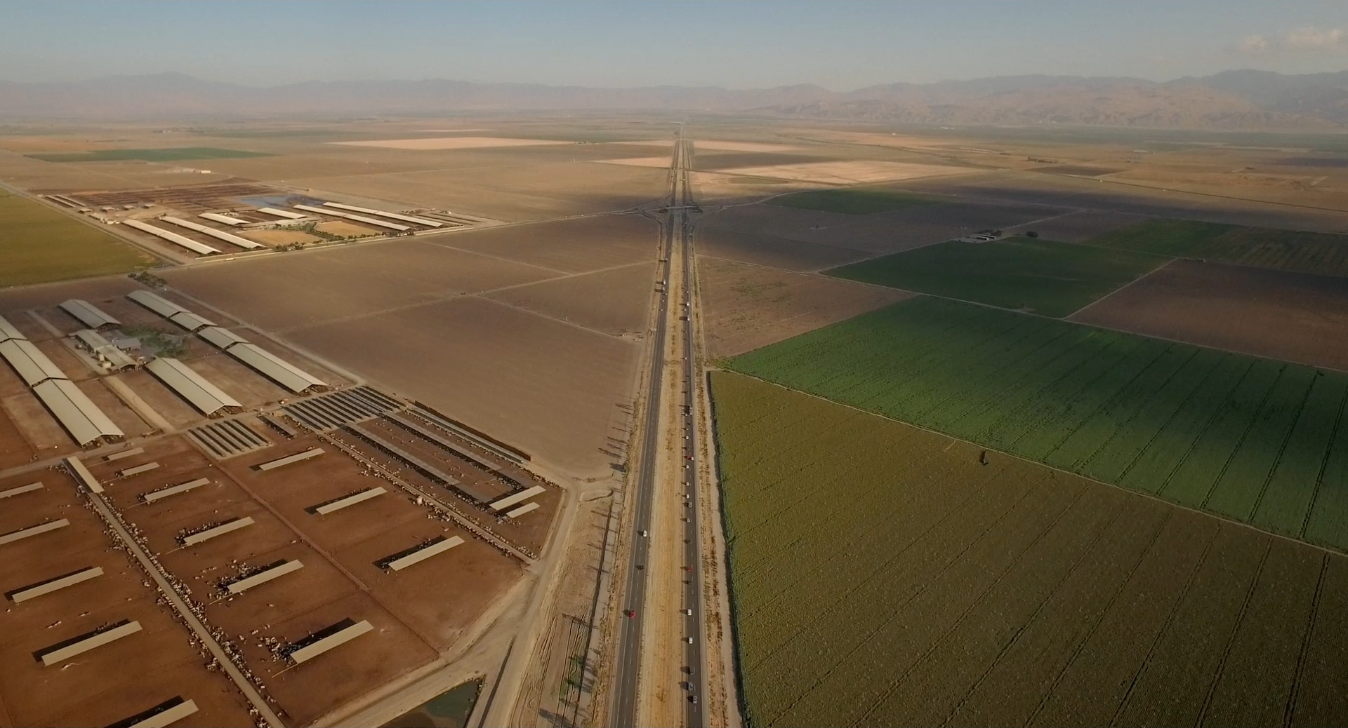 CWC Docs: Pistachio Wars - The Santa Barbara Independent