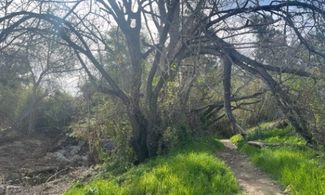 San Jose Creek Multipurpose Path Project Construction Begins THIS Monday, December 15