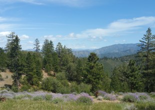 Protect the Roadless Rule to Keep Water Clean in Santa Barbara and Across the Country