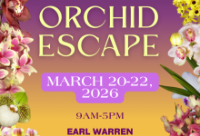 The 78th Santa Barbara International Orchid Show