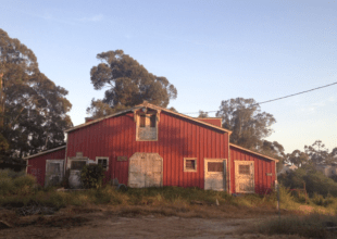 UCPD Investigates Attempted Sexual Assault and Robbery Near Red Barn in Isla Vista