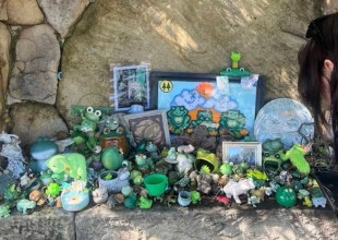 Santa Barbara’s Frog Shrine Faces Slimming, Not Extinction
