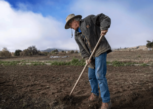 Full Belly Files | Matt Kettmann’s 2025 in Review