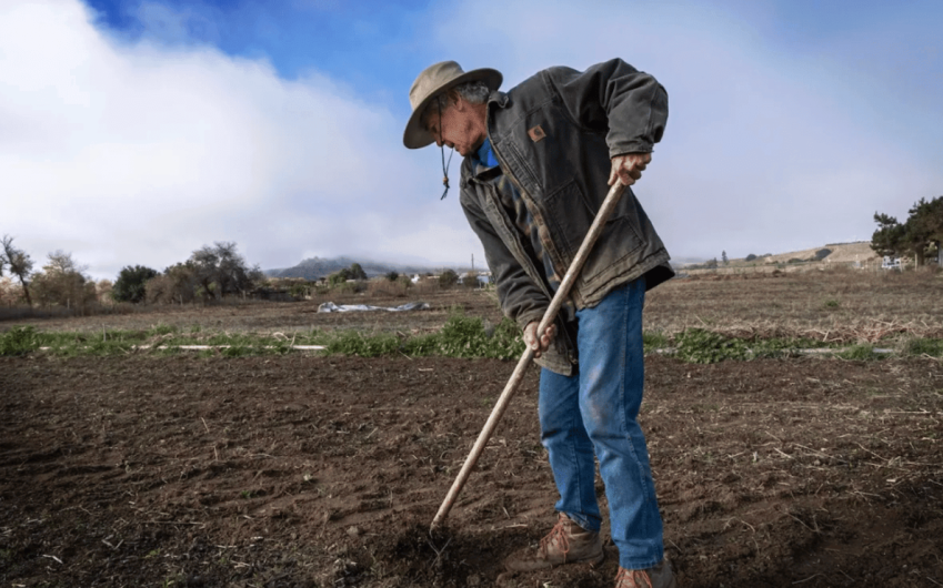 Full Belly Files | Matt Kettmann’s 2025 in Review