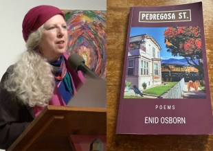 Poetry Connection | Connecting with ‘Pedregosa St.’