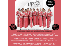 Mariachi Reyna by Viva el Arte – Marjorie Luke Theatre