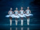 Dance Review | A Spectacular ‘Swan Lake’ with a Surprise Ending