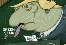 Action on Climate Languished in 2025