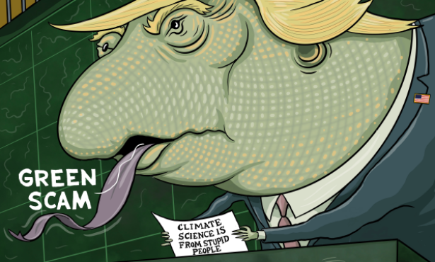 Action on Climate Languished in 2025