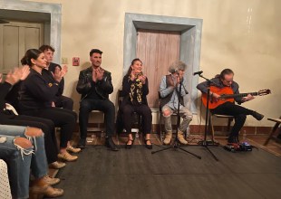 Peña Flamenca la María