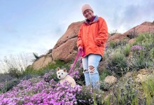 The Home Page | Home For The Holidays (Scout Included)