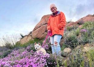 The Home Page | Home For The Holidays (Scout Included)