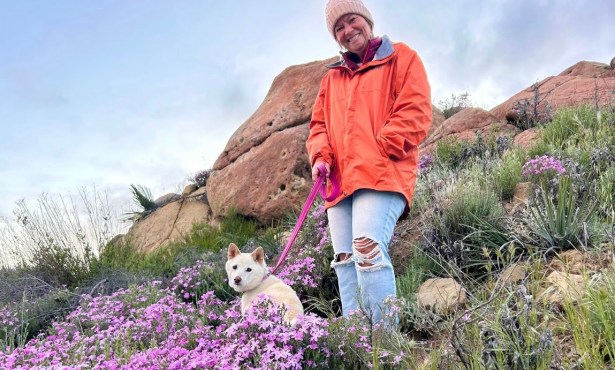 The Home Page | Home For The Holidays (Scout Included)